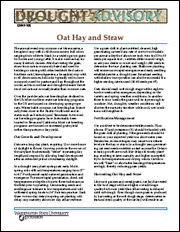 Drought Advisory Series: Oat Hay and Straw
