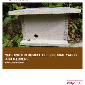 Washington Bumble Bees in Home Yards and Gardens
