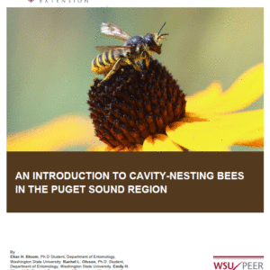 An Introduction to Cavity-Nesting Bees in the Puget Sound Region (Home Garden Series)