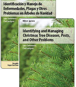 Identifying and Managing Christmas Tree Diseases, Pests, and Other Problems/Identificación y Manejo de Enfermedades, Plagas y Otros Problemas en Árboles de Navidad