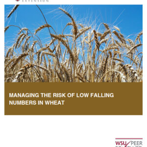 Managing the Risk of Low Falling Numbers in Wheat