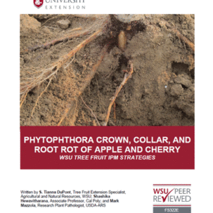 Phytophthora Crown, Collar and Root Rot of Apple and Cherry