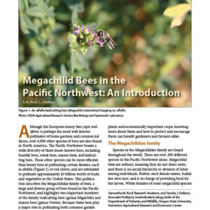 Megachilid Bees in the Pacific Northwest: An Introduction