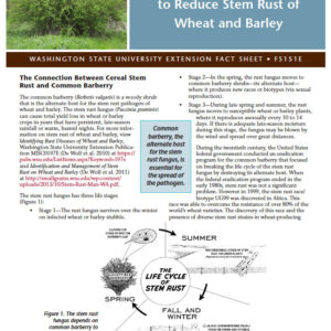 Control of Common Barberry to Reduce Stem Rust in Wheat and Barley