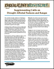 Supplementing Cattle on Drought Affected Pastures and Ranges