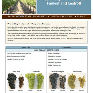 Major Grapevine Diseases: Fanleaf and Leafroll