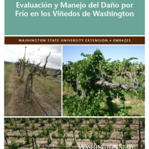 Evaluación y manejo del daño por frío en los viñedos de Washington (Assessing and Managing Cold Damage in Washington Vineyards)