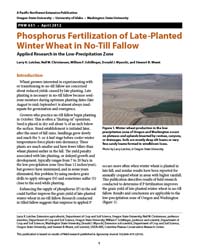 Phosphorus Fertilization of Late-Planted Winter Wheat in No-Till Fallow