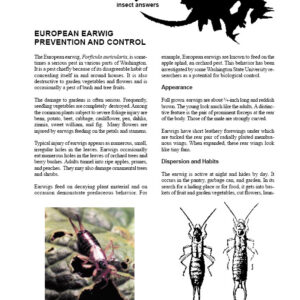 European Earwig Prevention and Control