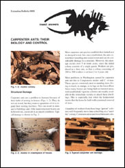 Carpenter Ants: Their Biology and Control