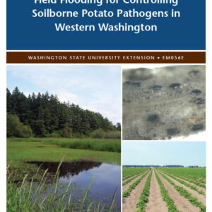 Field Flooding for Controlling Soilborne Plant Pathogens in Western Washington