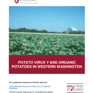 Potato Virus Y and Organic Potatoes in Western Washington