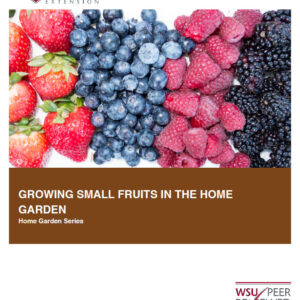 Growing Small Fruits in the Home Garden (Home Garden Series)