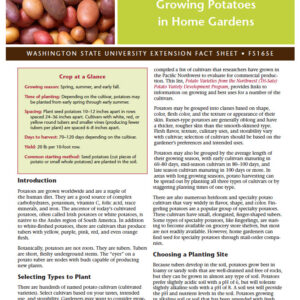 Growing Potatoes in Home Gardens (Home Garden Series)