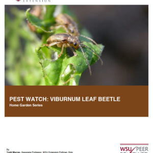 Pest Watch: Viburnum Leaf Beetle (Home Garden Series)