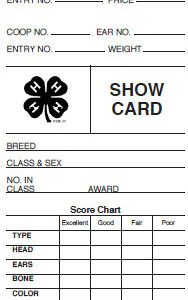 Rabbit and Cavy Show Card (Bundle of 10)