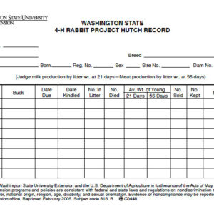 Rabbit Project Hutch Record