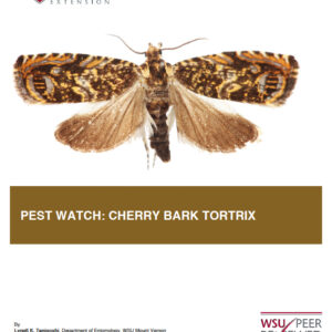 Cherry Bark Tortrix Enarmonia formosana (Home Garden Series) Replaces EB1893