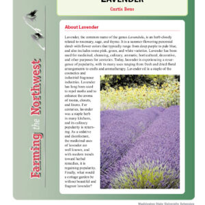 Growing and Marketing Lavender- PDF