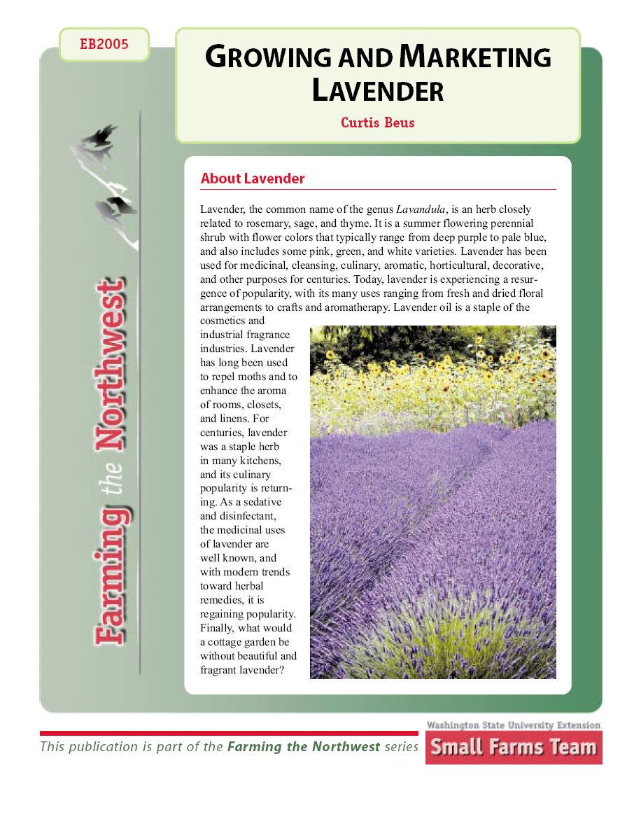 Growing and Marketing Lavender- PDF
