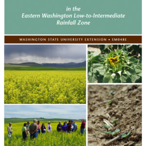 Oilseed Production Case Studies in the Eastern Washington Low-to-Intermediate Rainfall Zone