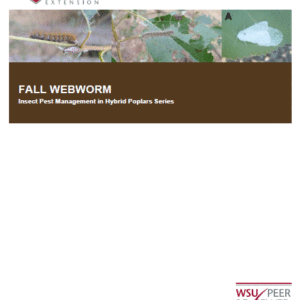 Fall Webworm: Insect Pest Management in Hybrid Poplars series