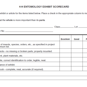 4-H Entomology Exhibit Score Card