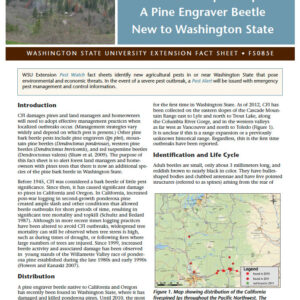 Pest Watch: California Fivespined Ips (Home Garden Series)