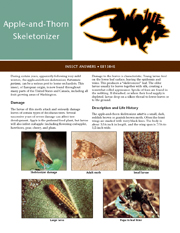 Apple-And-Thorn Skeletonizer