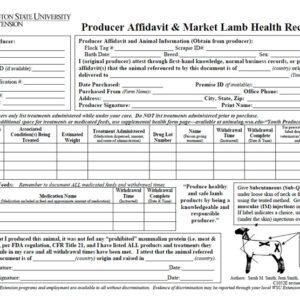 Producer Affidavit & Market Lamb Health Record