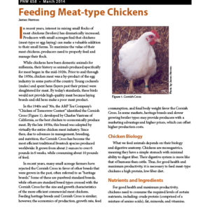 Feeding Meat-type Chickens