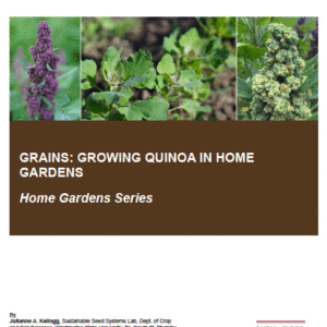 Grains: Growing Quinoa in Home Gardens