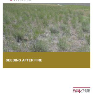 Seeding After Fire