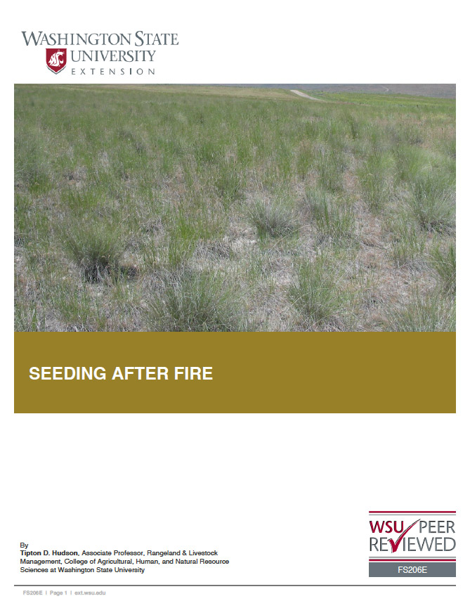 Seeding After Fire