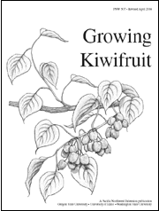 Growing Kiwi Fruit