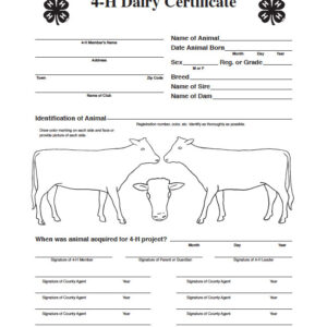 4-H Dairy Certificate
