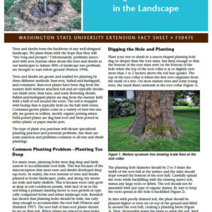 Planting Trees and Shrubs in the Landscape (Home Garden Series)