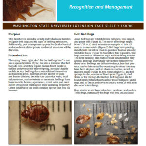 Recognizing and Managing Bed Bugs