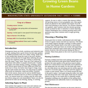 Vegetables: Growing Green Beans in Home Gardens (Home Garden Series)