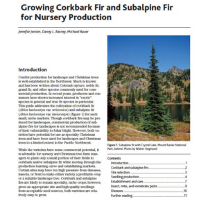 Growing Corkbark Fir and Subalpine Fir for Nursery Production