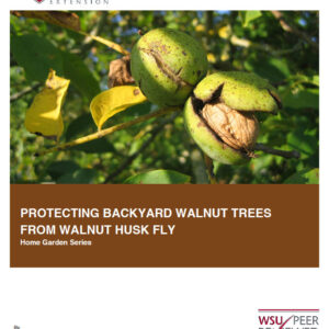 Protecting Backyard Walnut Trees from Walnut Husk Fly