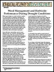 WSU Drought Advisory: Weed Management and Herbicide Performance During Drought Conditions