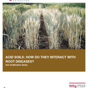 Acid Soils- How Do They Interact with Root Diseases? (Soil Acidification Series)