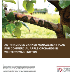 Apple anthracnose canker integrated management plan for commercial growers