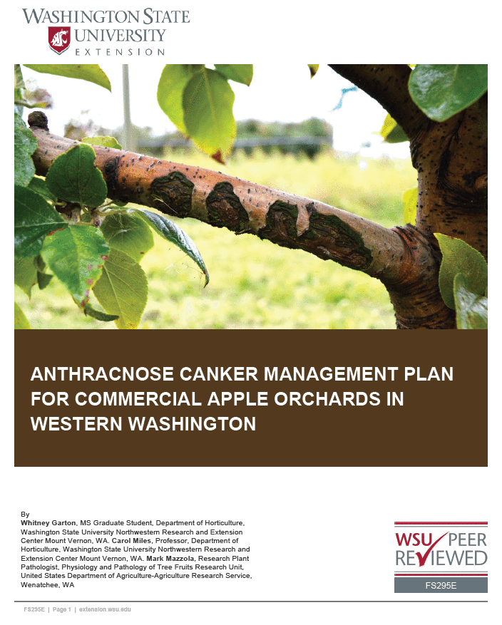 Apple anthracnose canker integrated management plan for commercial growers