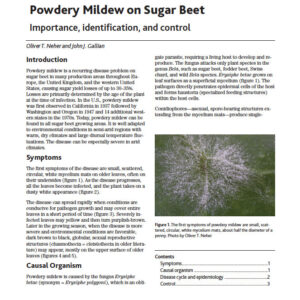 Powdery Mildew on Sugar Beet: Importance, Identification, and Control