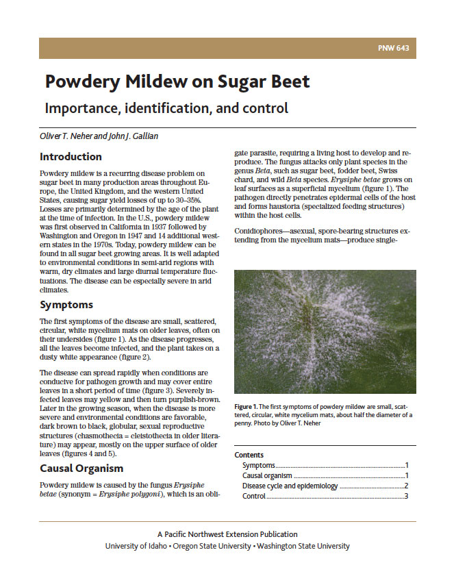 Powdery Mildew on Sugar Beet: Importance, Identification, and Control