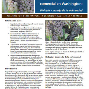 Podredumbre por Botrytis en la uva para producción comercial en Washington: Biología y manejo de la enfermedad (Botrytis Bunch Rot in Commercial Grape Production: Biology and Disease Management)