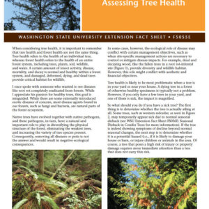 Assessing Tree Health