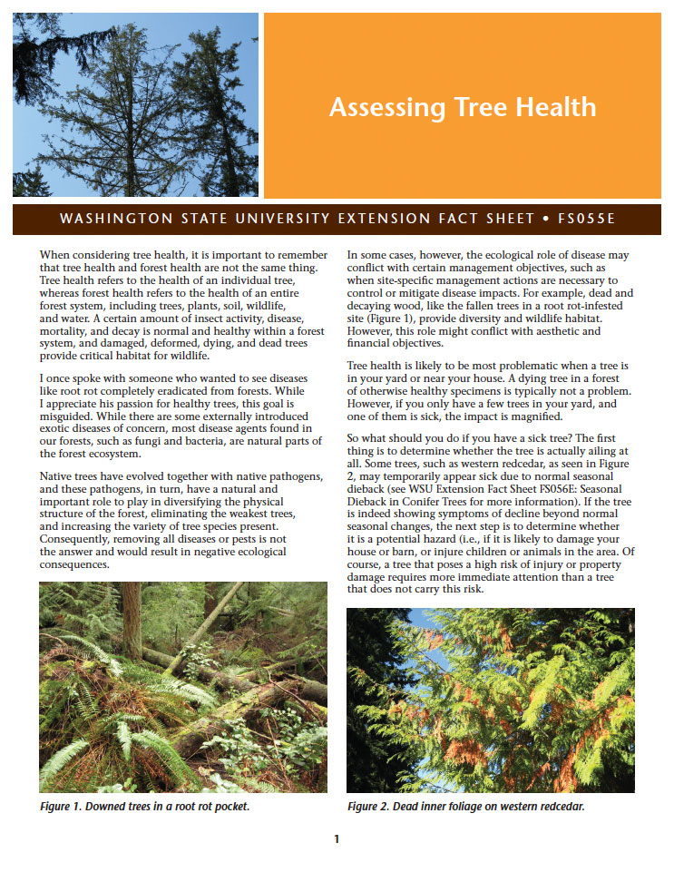 Assessing Tree Health